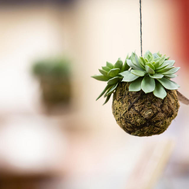 取扱商品の画像